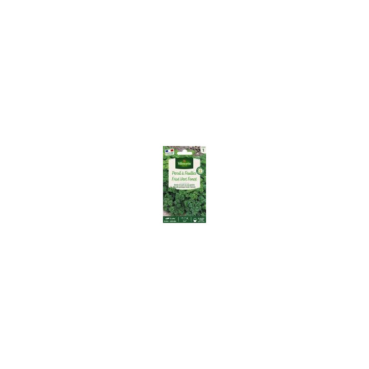 GR08