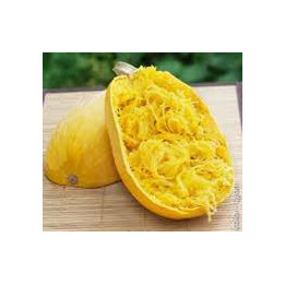 Courge spaghetti