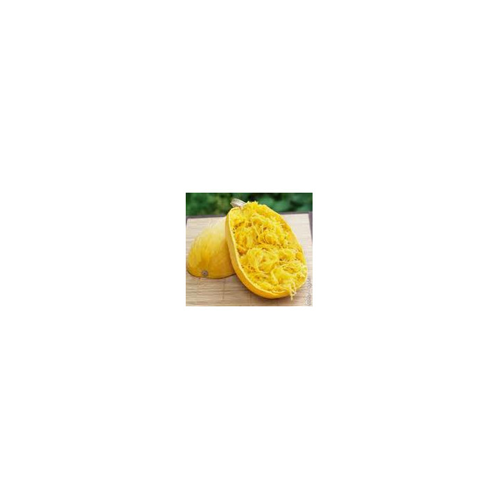 Courge spaghetti