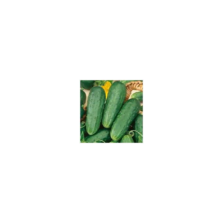 Cornichons