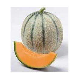 Melon brodé