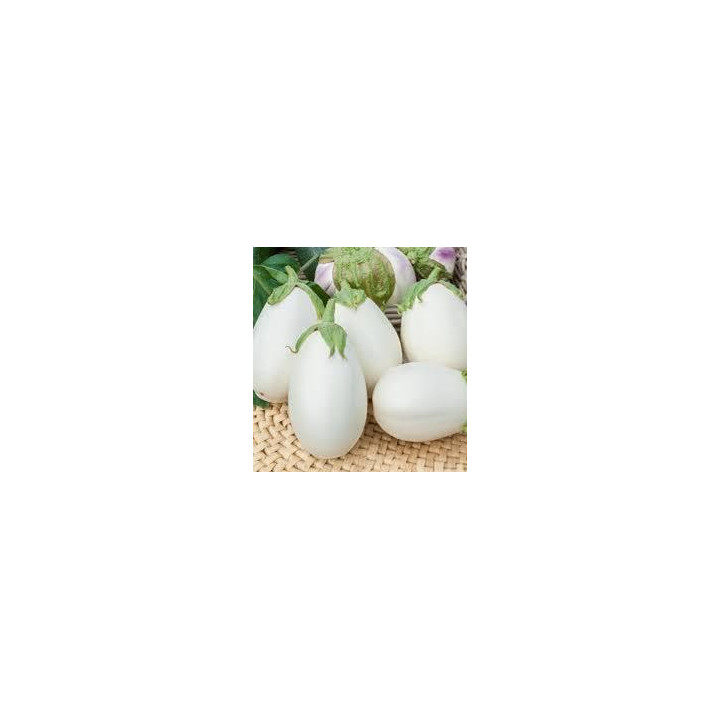 Aubergine blanche