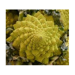 Choux Romanesco