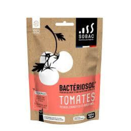 Bactériosol potager 500g