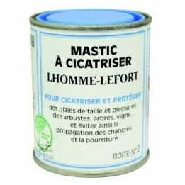 Mastic à cicatriser 200g