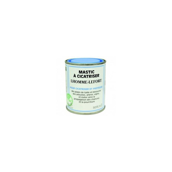 Mastic à cicatriser 200g