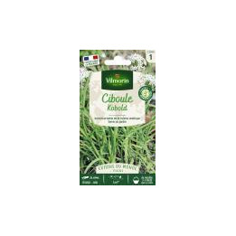 Graines Ciboule de chine Kobold