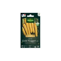 Graines Carotte Goldnugget