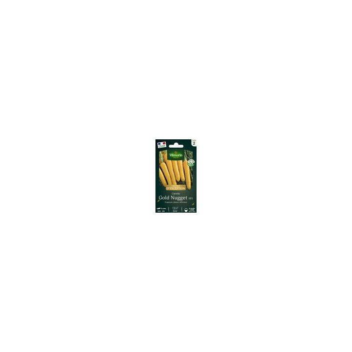 Graines Carotte Goldnugget