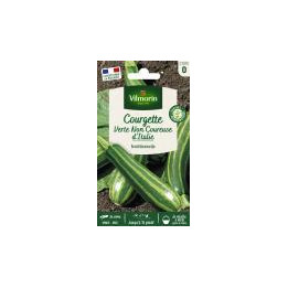 Graines Courgette verte non coureuse