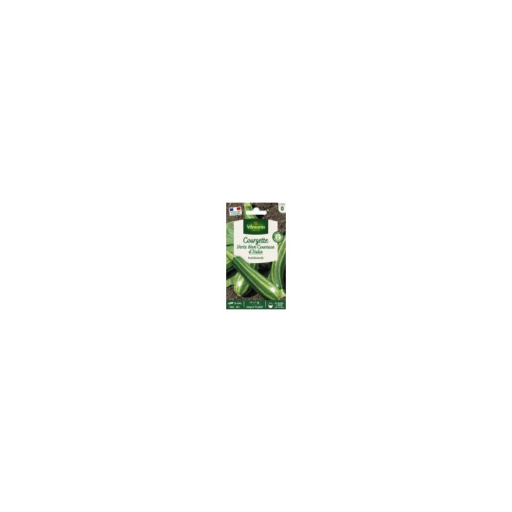 Graines Courgette verte non coureuse