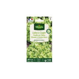 Graines Laitue feuille chêne blonde