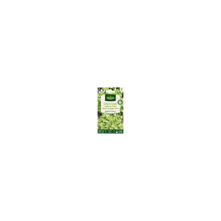 Graines Laitue feuille chêne blonde