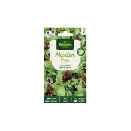 Graines Mesclun doux sans roquette