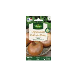Graines Oignon jaune Paille des Vertus