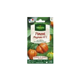 Graines Piment Magnum orange (habanero)