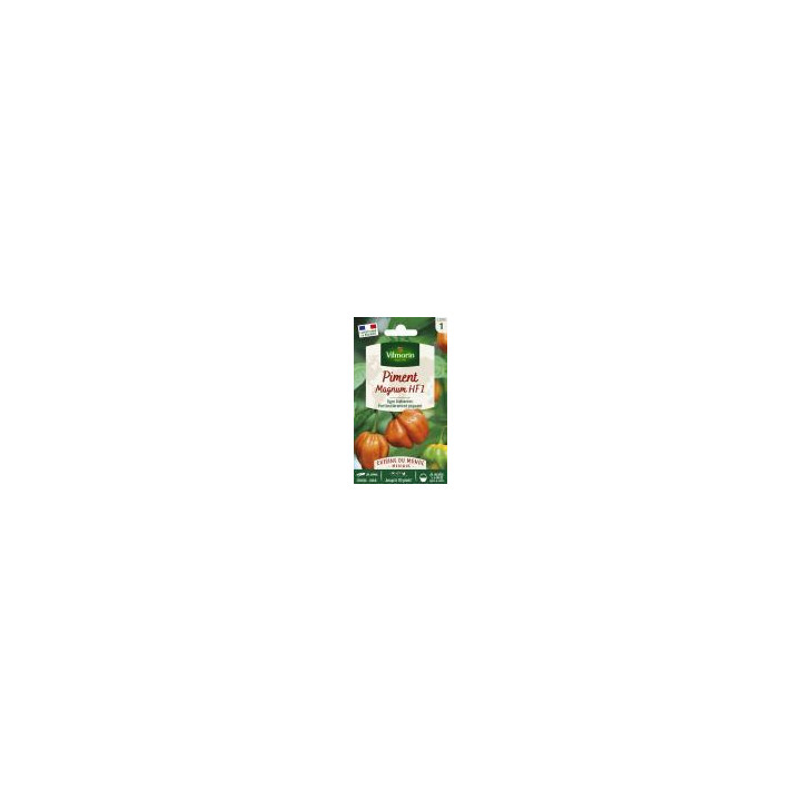 Graines Piment Magnum orange (habanero)