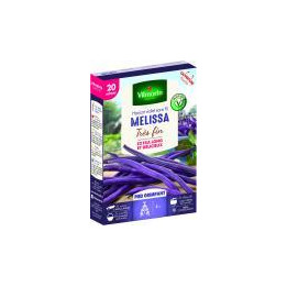 Graines Haricots Mélissa 20M grimpant violet