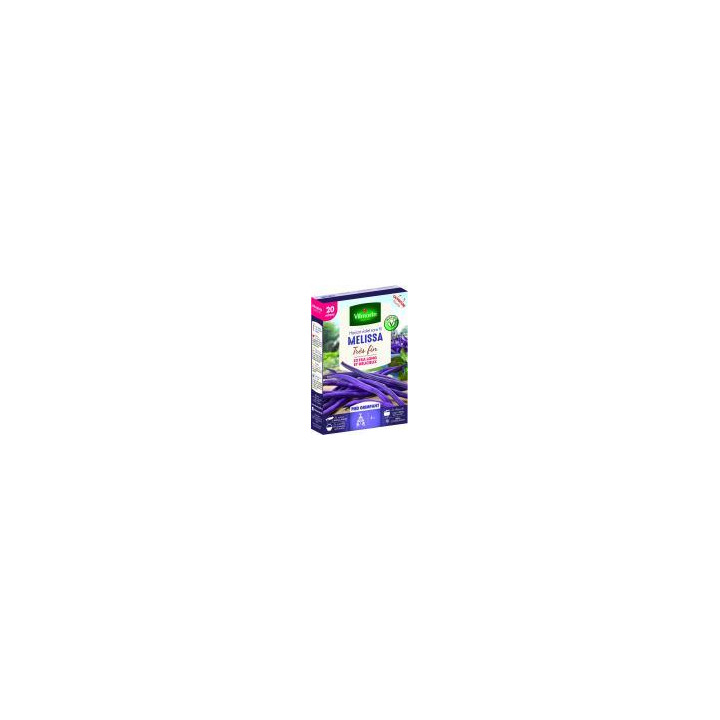 Graines Haricots Mélissa 20M grimpant violet