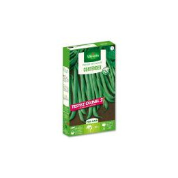 Graines Haricot Contender 20M nain mangetout