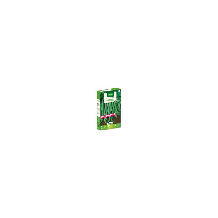 Graines Haricot Contender 20M nain mangetout