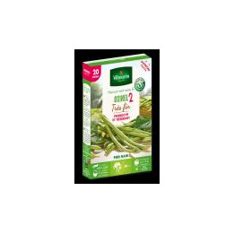 Graines Haricot Oxinel 2 nain sans fils 20M