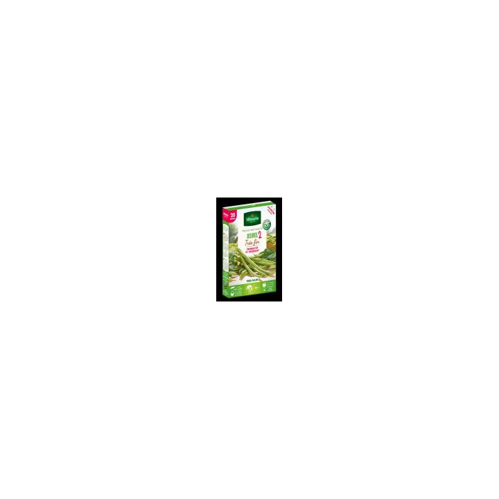 Graines Haricot Oxinel 2 nain sans fils 20M