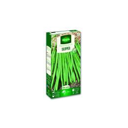 Graines Haricots Skipper nain sans fils